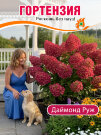 Гортензия Даймонд Руж (метельчатая)
