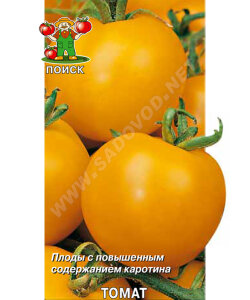 Томат Дина