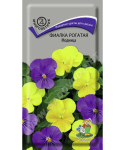 Фиалка рогатая Модница Фиалка рогатая Модница
