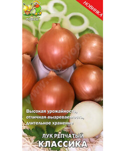 Лук репчатый Классика Лук репчатый Классика
