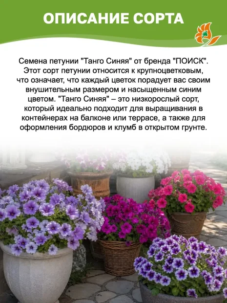 Петуния крупноцветковая Танго Синяя (ПРОФИ) семена