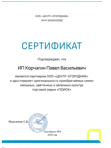 Петуния крупноцветковая Танго Синяя (ПРОФИ) семена