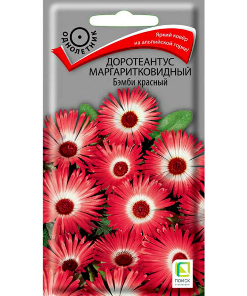 Доротеантус Бэмби красный (маргаритковидный) семена