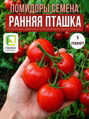 Томат Ранняя Пташка