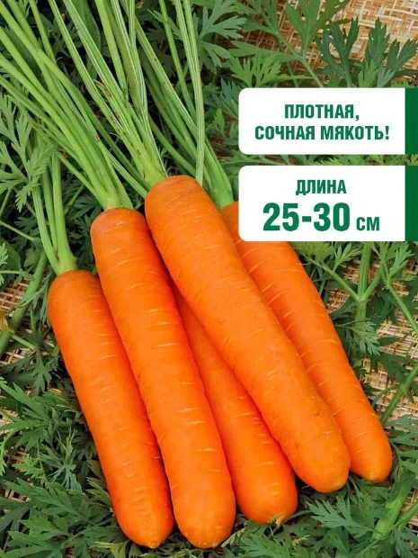 Морковь драже Император семена 