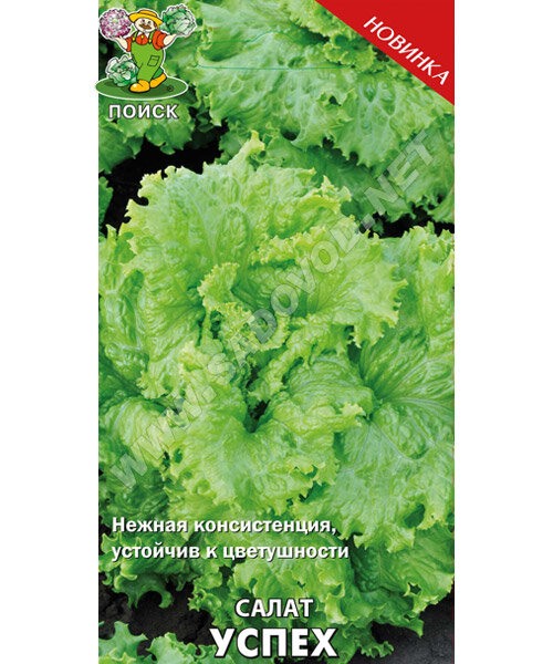 Салат Успех семена 