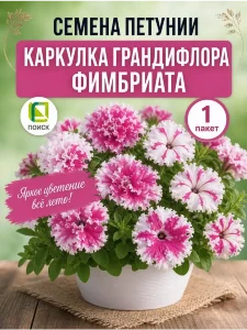 Петуния грандифлора фимбриата Каркулка Петуния грандифлора фимбриата Каркулка