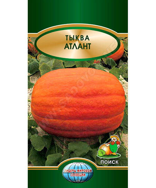 Тыква Атлант (крупноплодная) семена 
