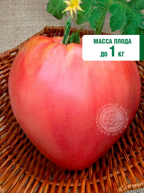 Томат Краса Сибири семена 
