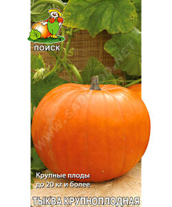 Тыква Стофунтовая (крупноплодная) Тыква Стофунтовая (крупноплодная)